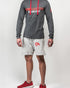 GA Hoodie (grau)